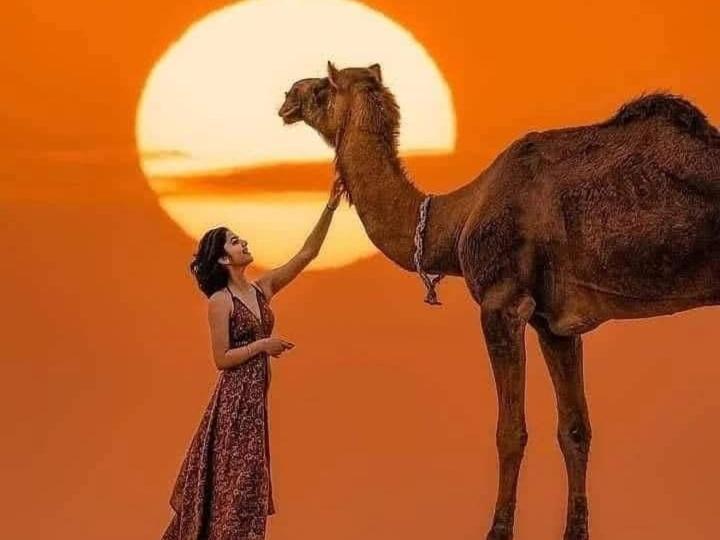 Om Luxury Resort Jaisalmer Extérieur photo